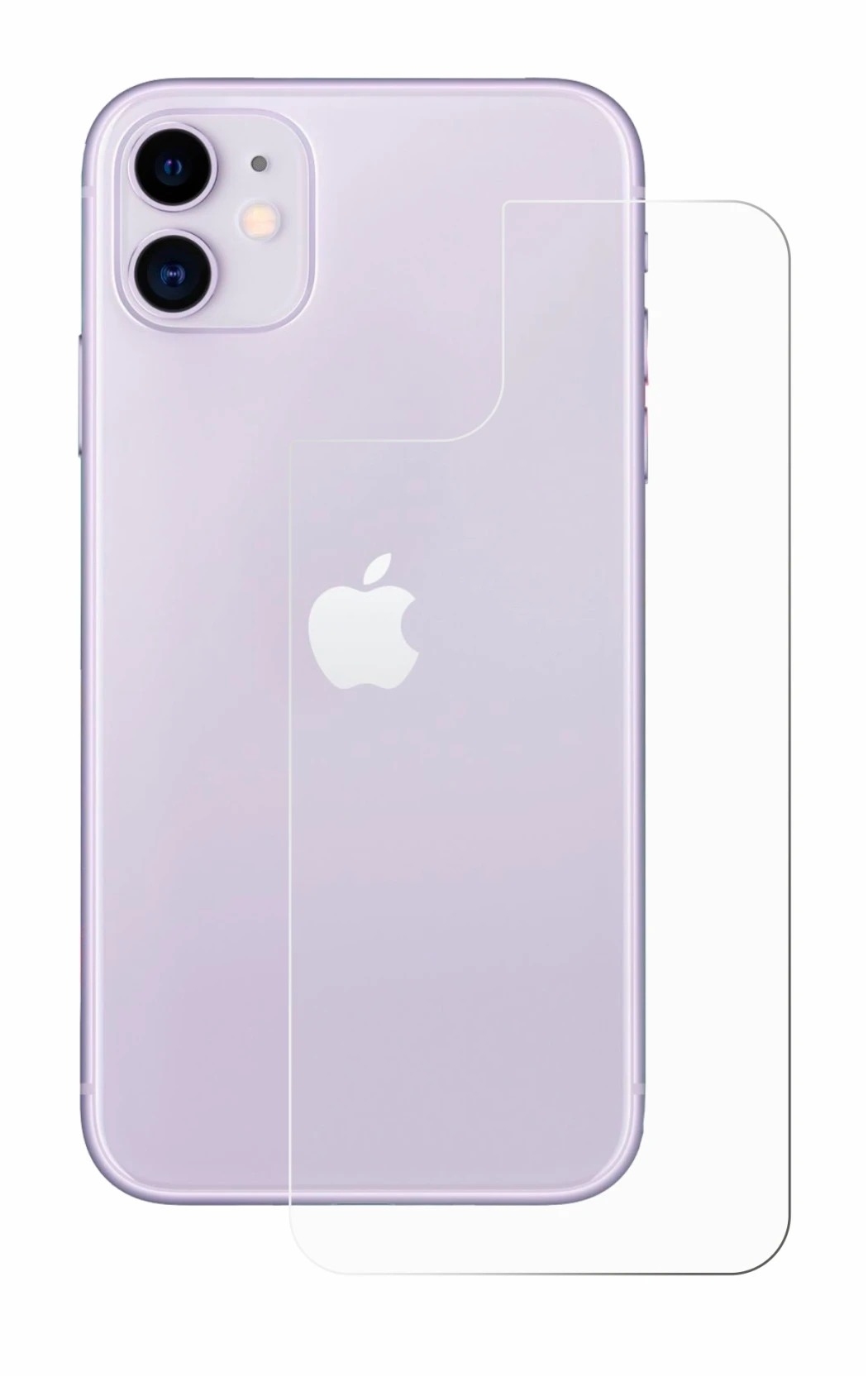 Image de l'appareil Apple iPhone 11 (Arrière) avec une grande variété de protections d'écran.