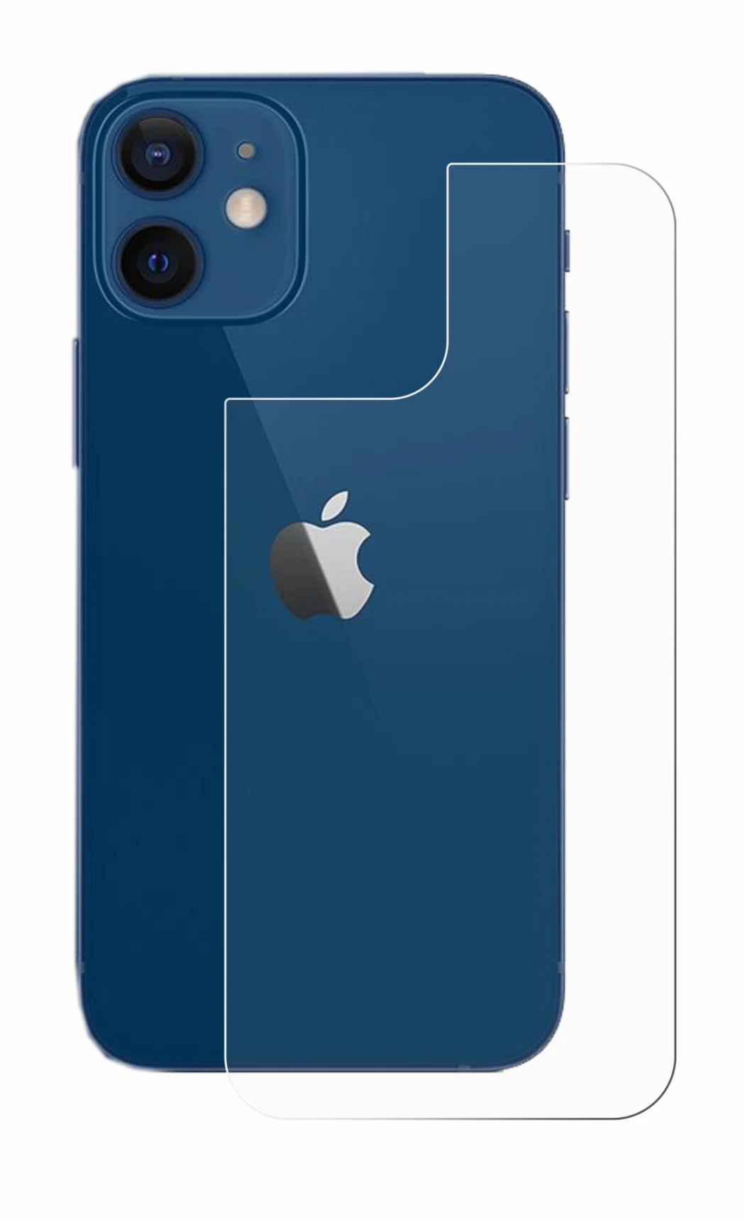 Image de l'appareil Apple iPhone 12 (Arrière) avec une grande variété de protections d'écran.