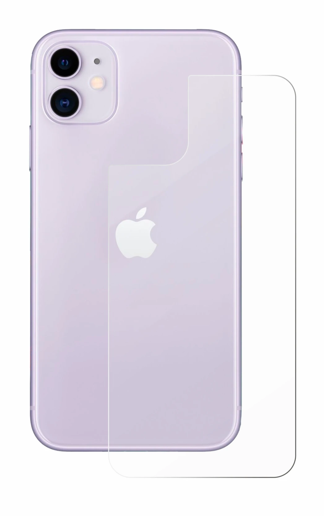 Image de l'appareil Apple iPhone 11 (Arrière) avec une grande variété de protections d'écran.