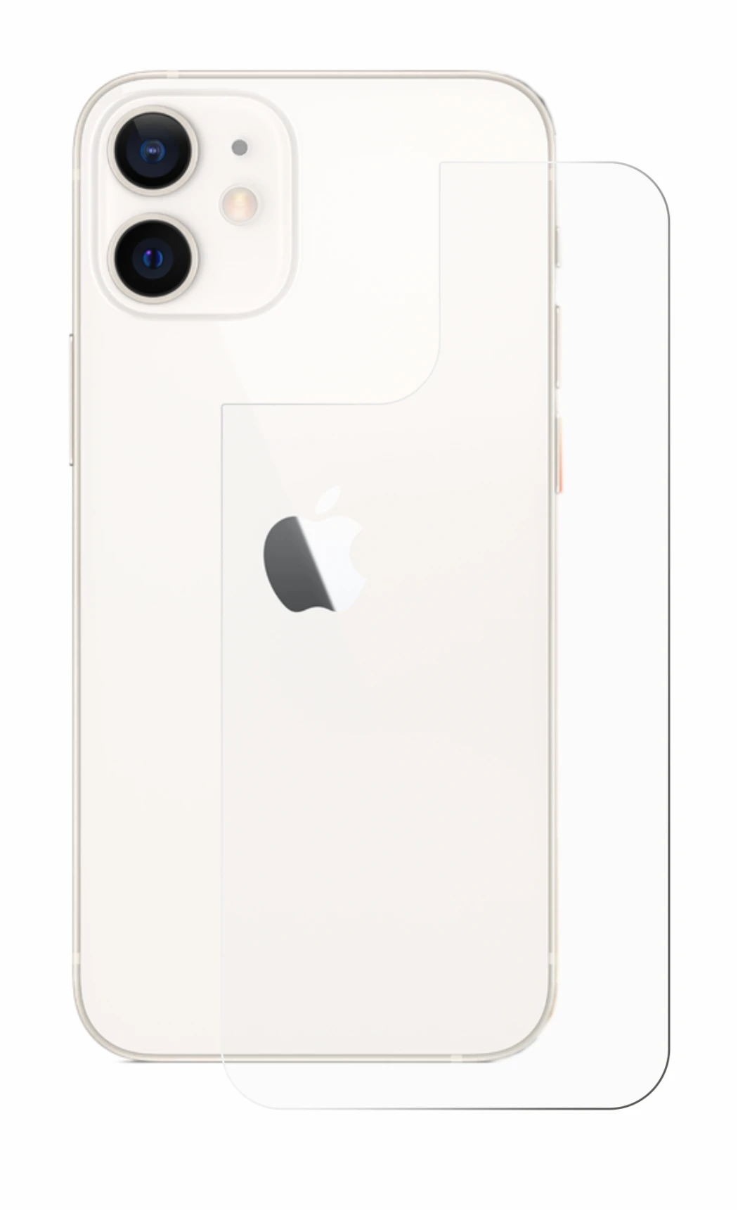 Image de l'appareil Apple iPhone 12 mini (Arrière) avec une grande variété de protections d'écran.