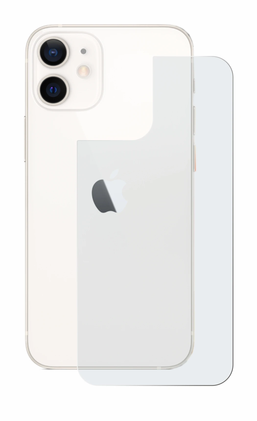 Image de l'appareil Apple iPhone 12 mini (Arrière) avec une grande variété de protections d'écran.