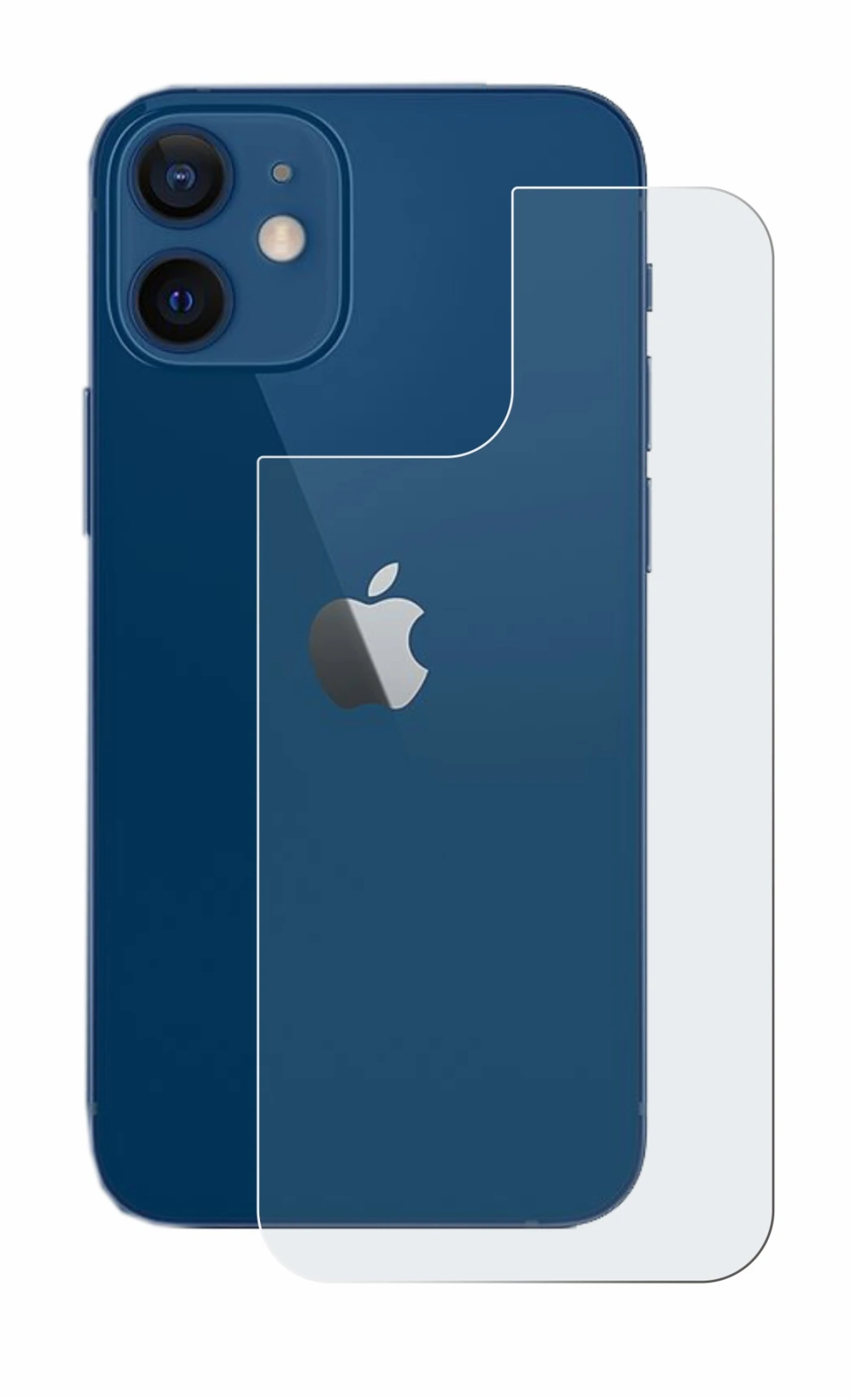 Image de l'appareil Apple iPhone 12 (Arrière) avec une grande variété de protections d'écran.