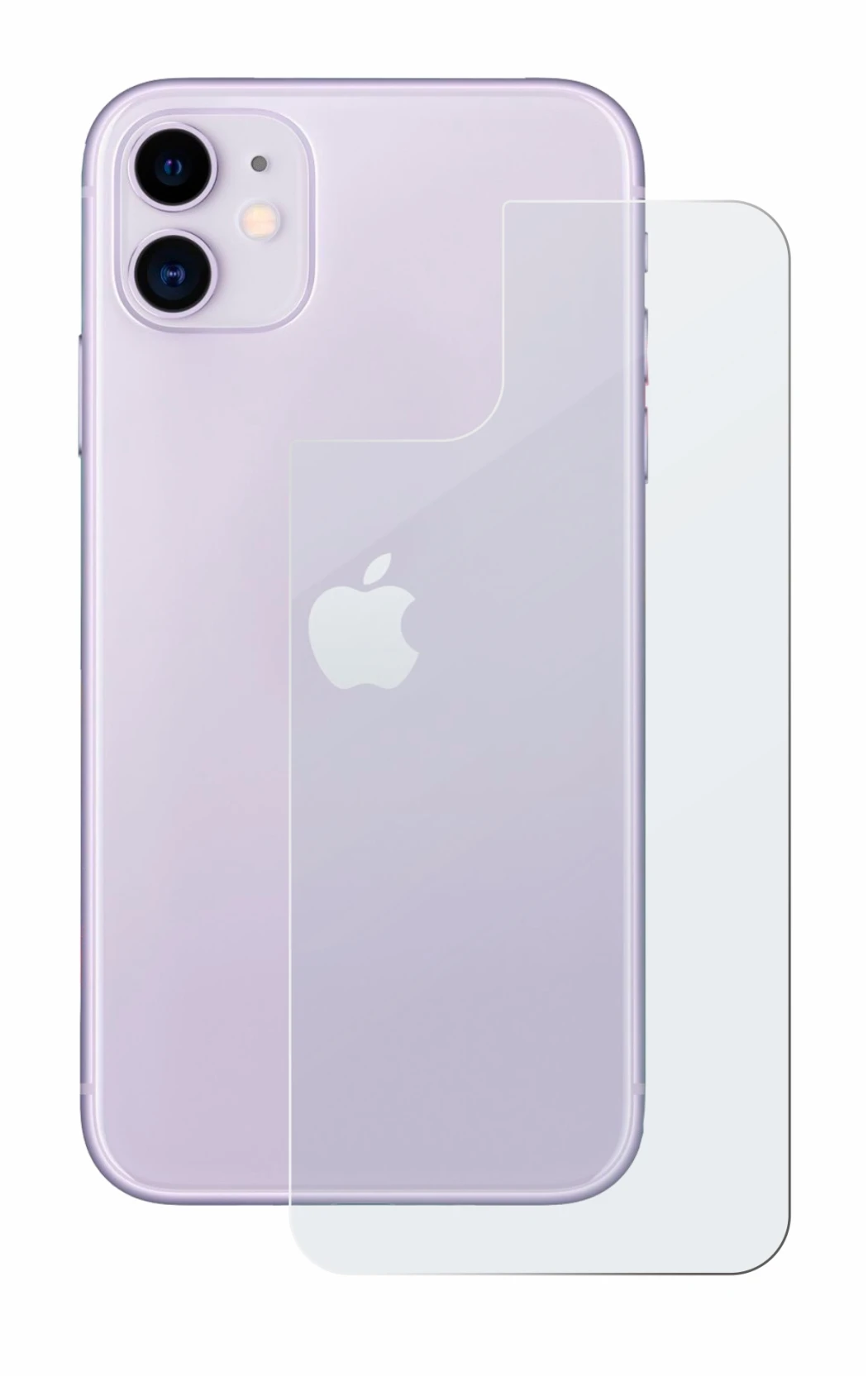 Image de l'appareil Apple iPhone 11 (Arrière) avec une grande variété de protections d'écran.