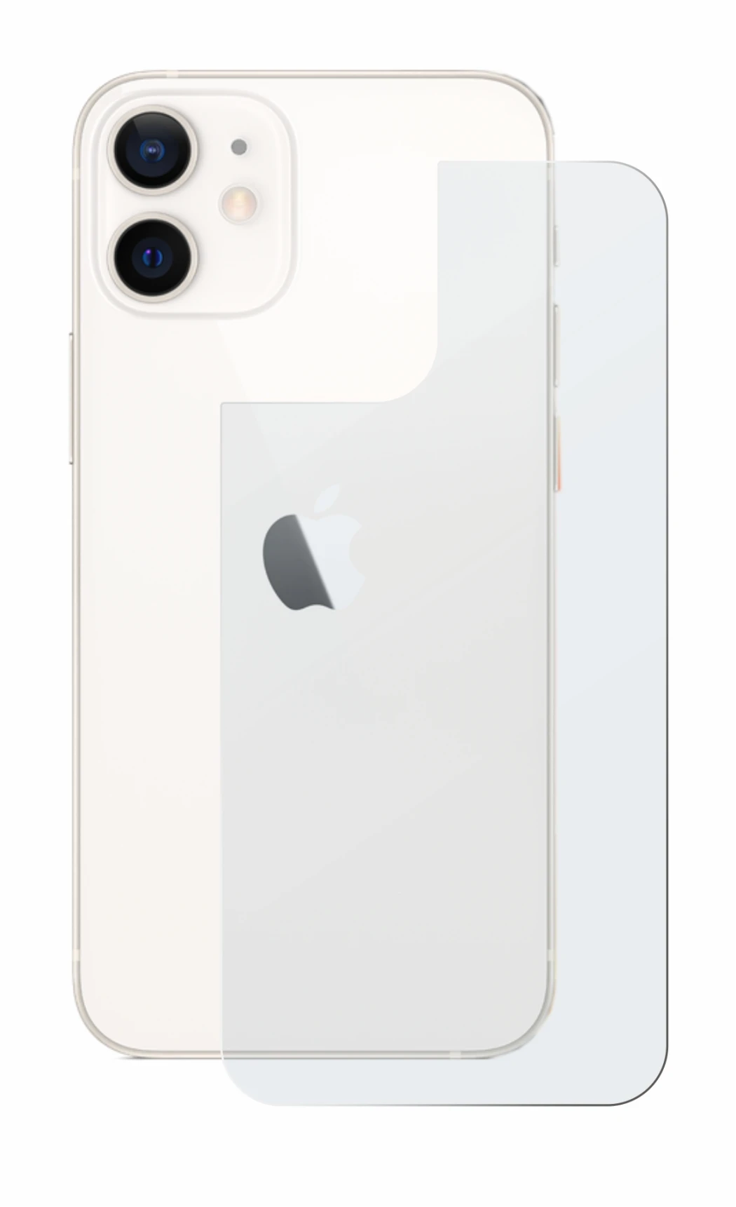 Image de l'appareil Apple iPhone 12 mini (Arrière) avec une grande variété de protections d'écran.