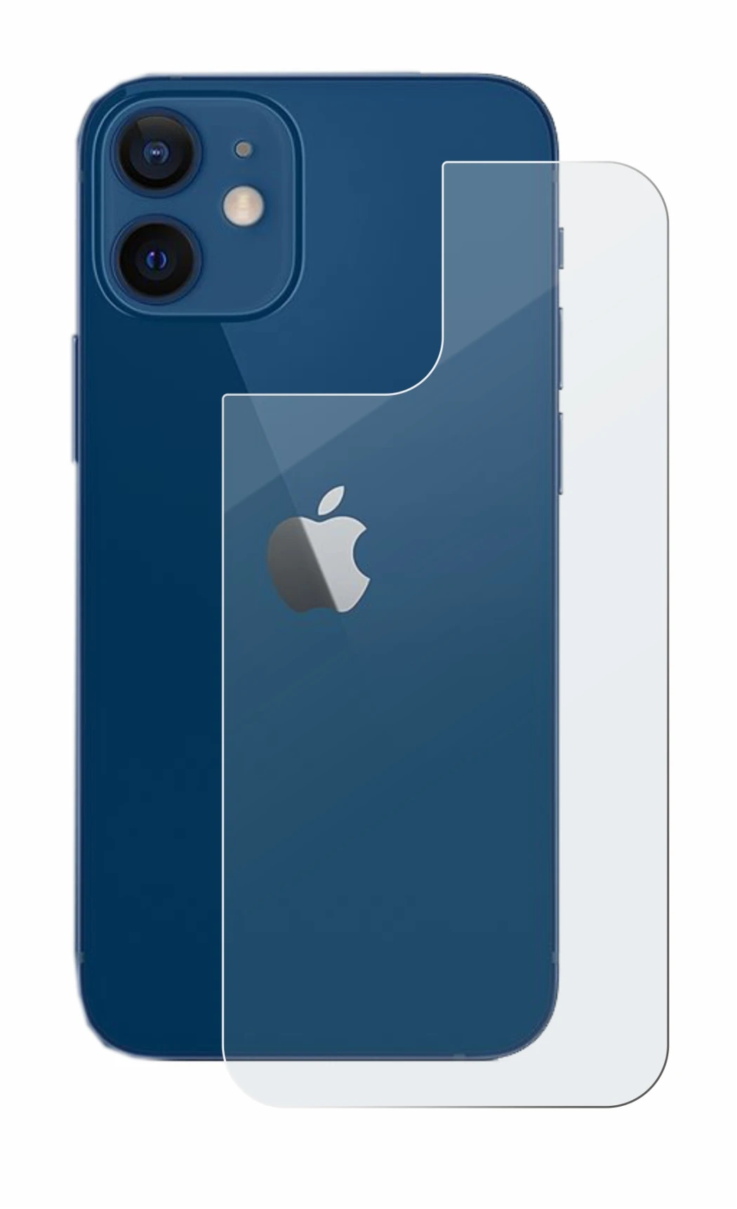 Image de l'appareil Apple iPhone 12 (Arrière) avec une grande variété de protections d'écran.